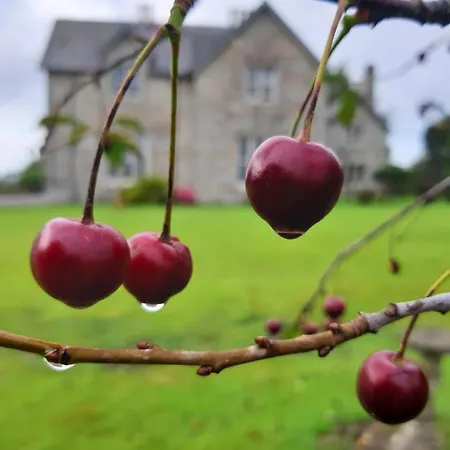 Lorum Old Rectory Tatil Evi Bagenalstown